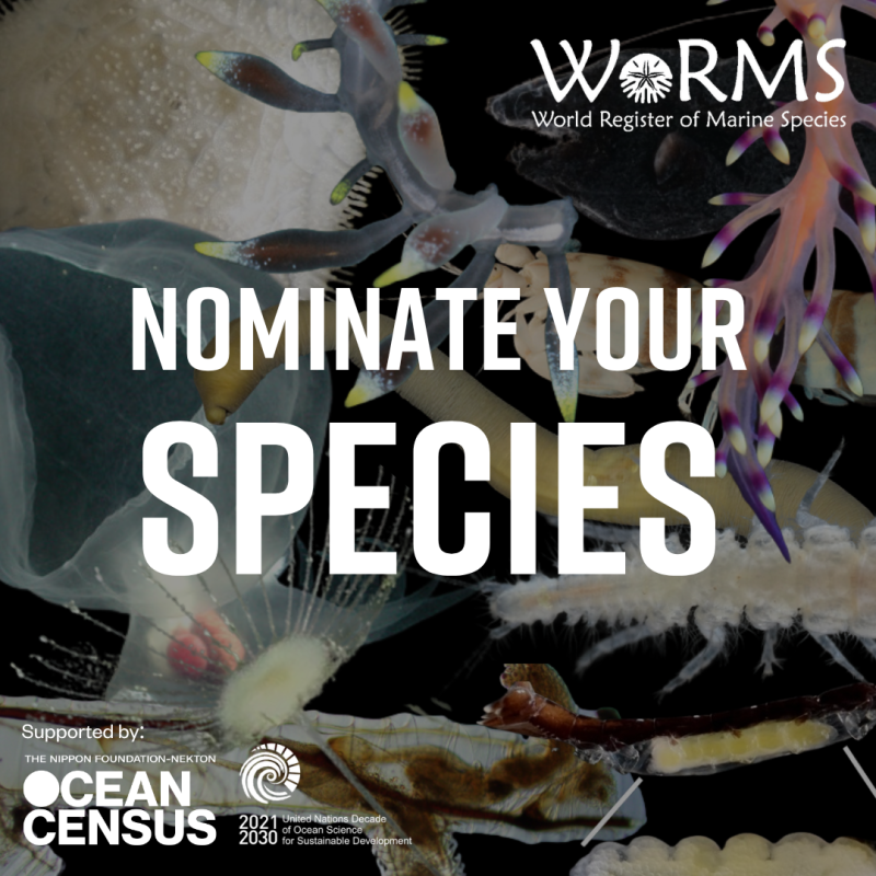 Call for nominations for the WoRMS Top-Ten Marine Species of 2025